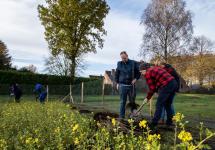 In heel wat tuinen werden er bomen en struiken aangeplant