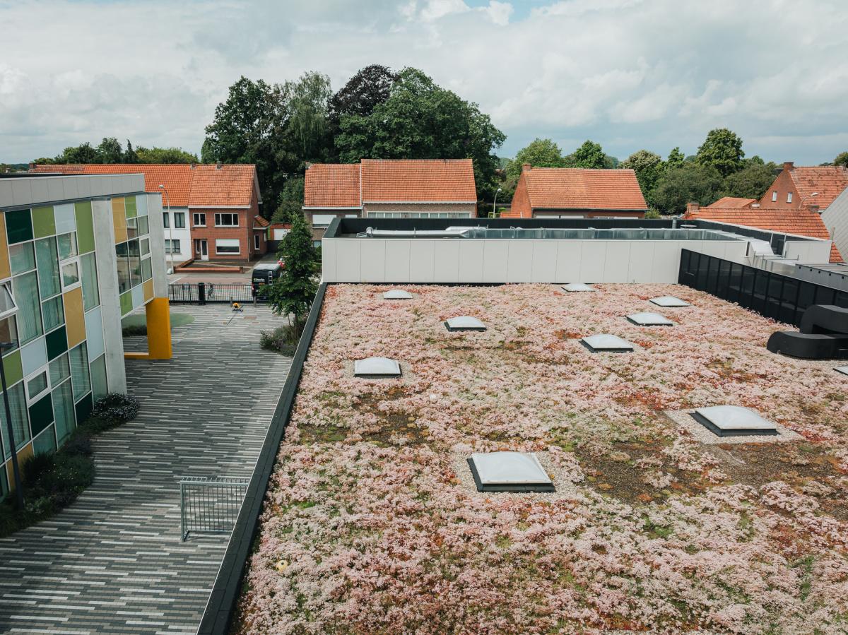 groendak op zaal Pezerik in 't Blokje, Loenhout