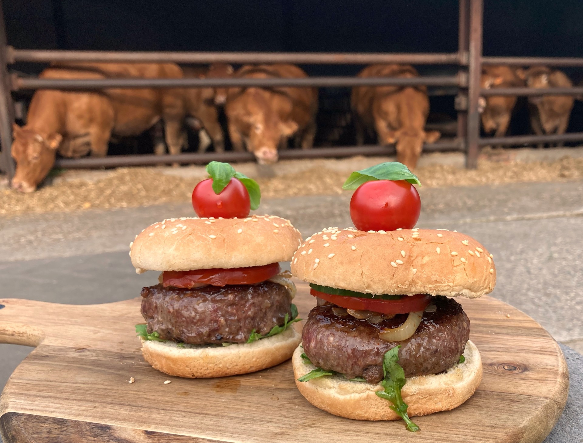 Hamburgers op de vleeshoeve