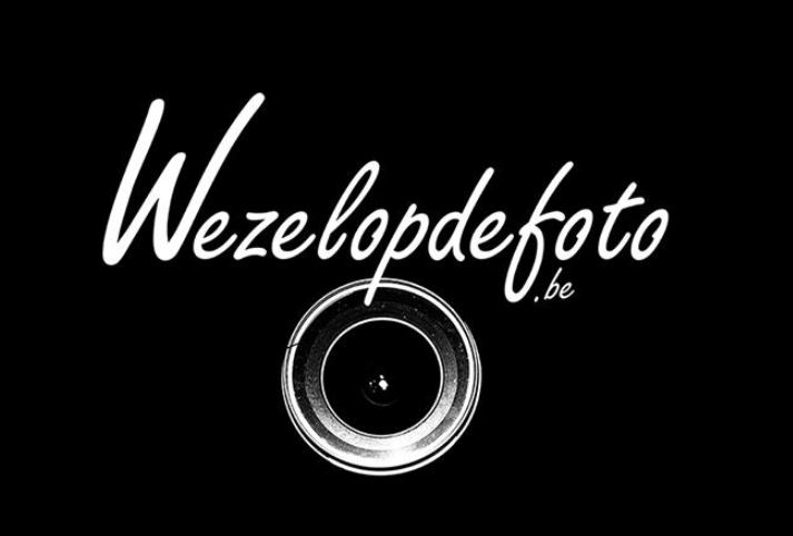 wezelopdefoto - logo