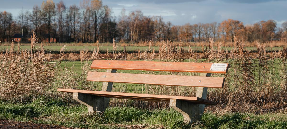 bankje in Loenhout