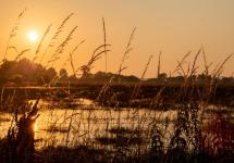 Natuurgebied De Maatjes bij ondergaande zon