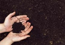 twee handen gevuld met compost