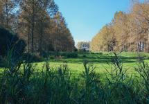 parkgebied in Loenhout met de aangekochte gronden