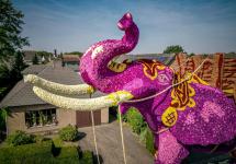 Tentoonstelling Bloemencorso Loenhout © © Wezelopdefoto